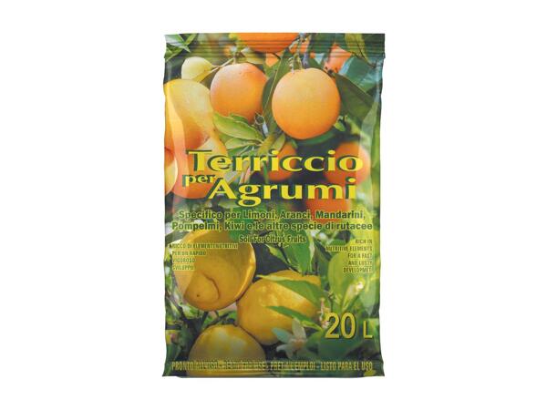 Citrus soil