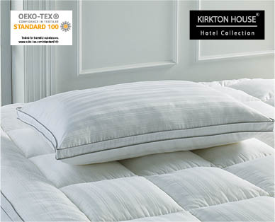 Deluxe Pillow with a Touch of Silk