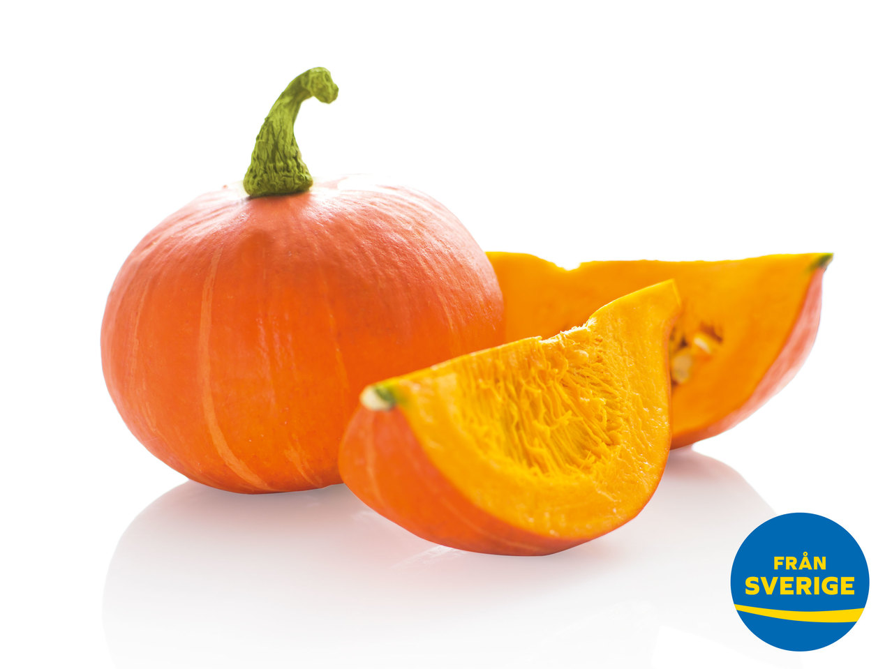 HALLOWEENPUMPA