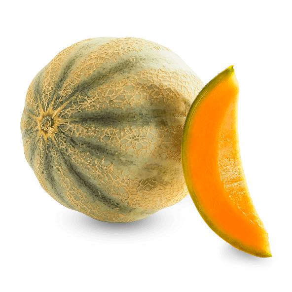 Cantaloupe-Melone