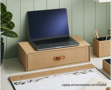 Monitor Raiser