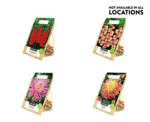 Gardenline 
 Spring Bulbs Assorted Varieties