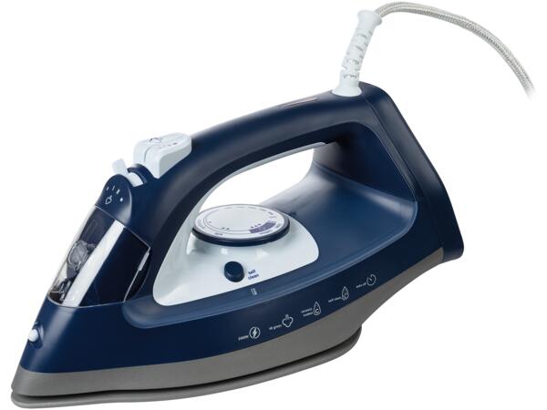 Steam Iron