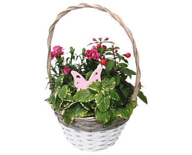 GARDENLINE Muttertags-Arrangement