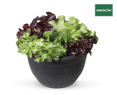 SALAD BOWL 200MM