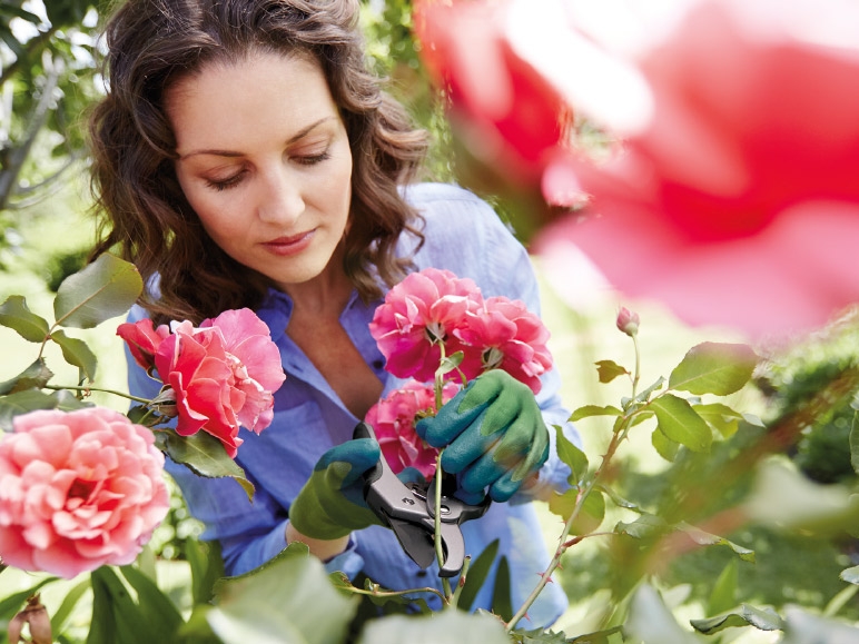 FLORABEST Ratchet Secateur