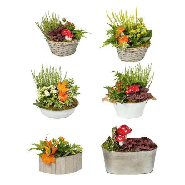 Herfstcompositie
