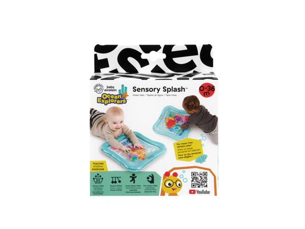 Baby Einstein Play Mat