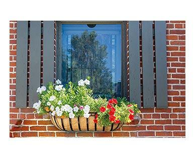 Belavi 
 Trough Planter