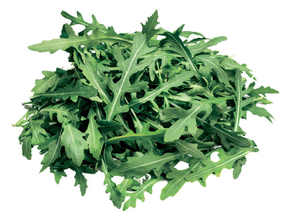 Rucola-Salat