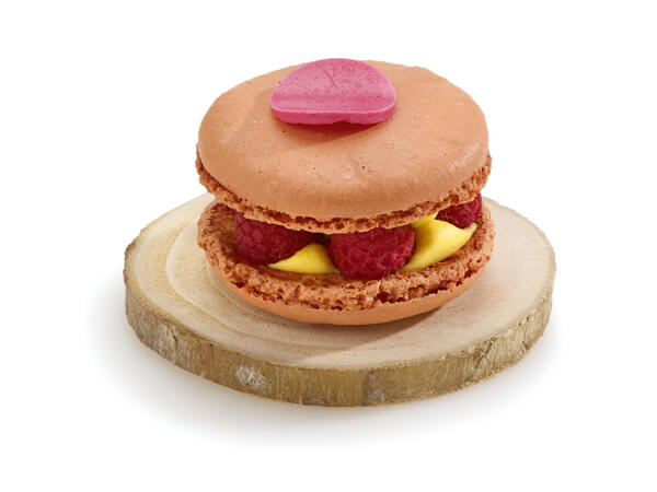 Macaron XL