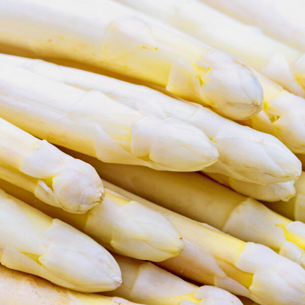 Spargel