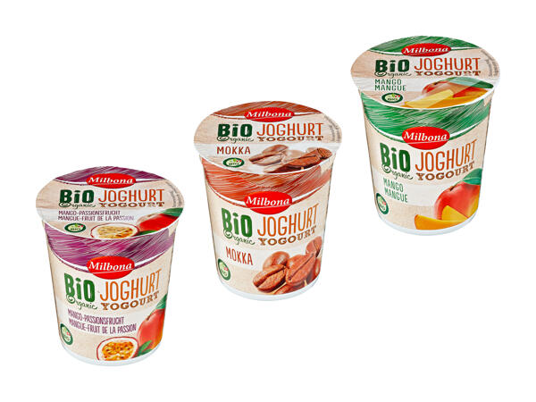 Yogourt aux fruits bio