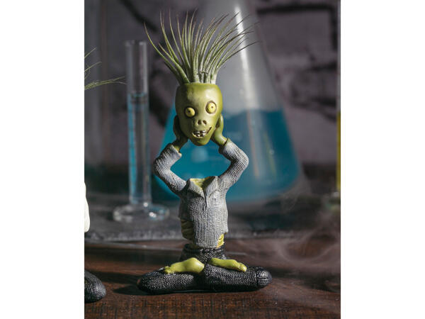 Tillandsia i keramik
