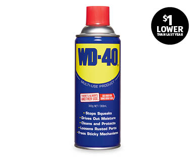 WD-40 Spray Lubricant 300g