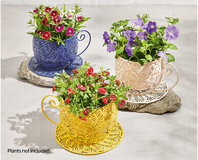 Tea Cup Planter