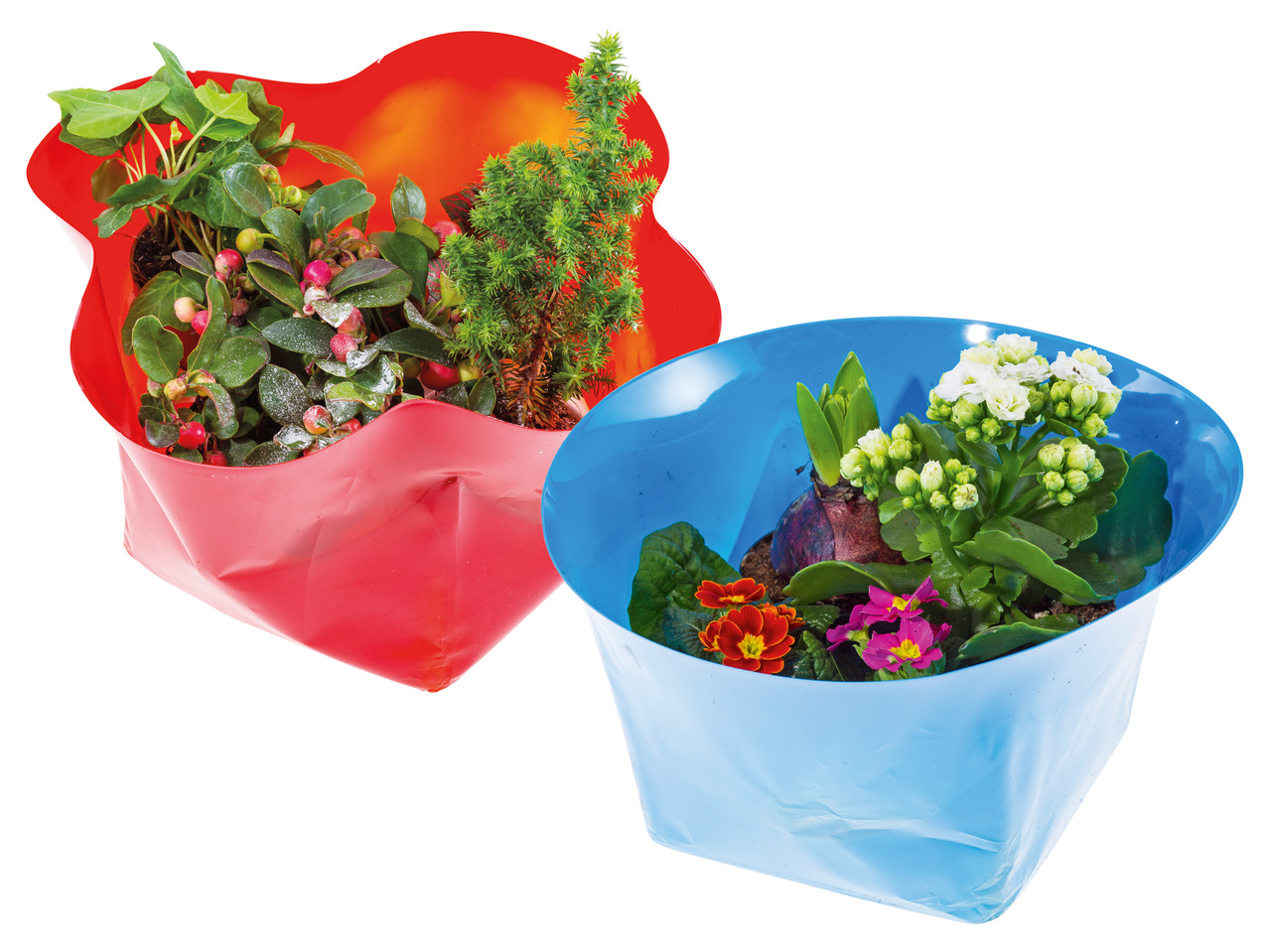 Grandiol Mini Garten