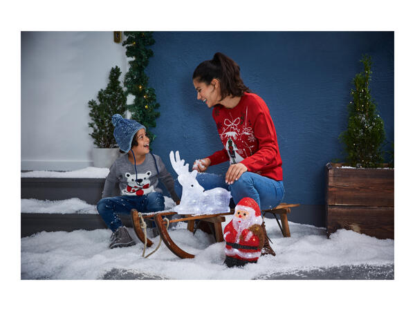 Livarno Home LED Light-Up Christmas Figure / Figurines
