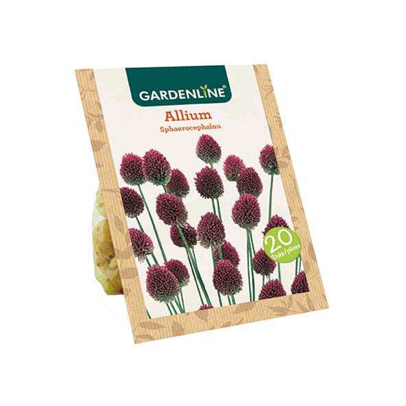 GARDENLINE(R) 				Bulbes à fleurs ail d'ornement