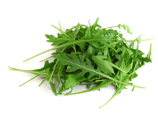 Rucola