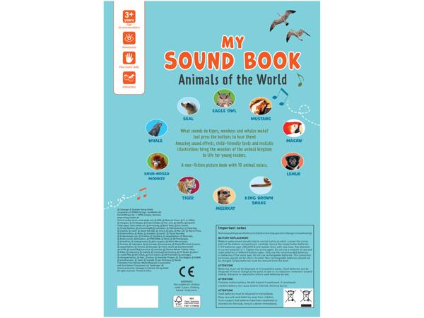 Kids' Sound Book