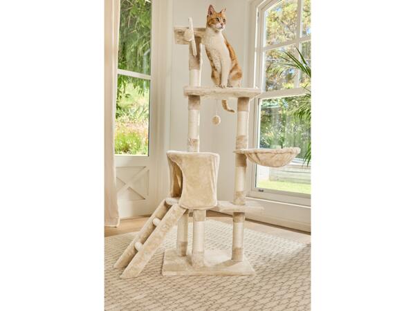 Cat Tree and Play Tower