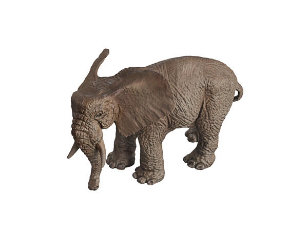 Animals Play Set