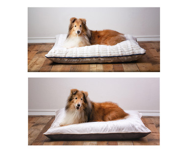 Heart to Tail Pet Bed Assortment