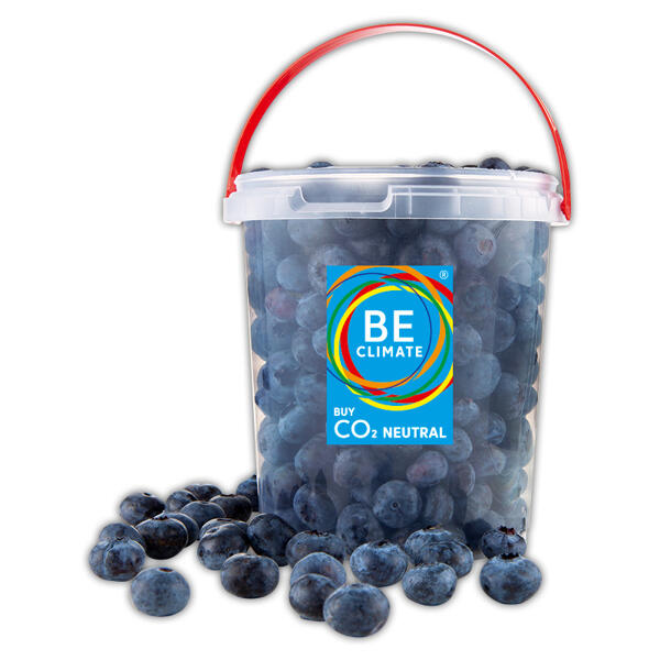 Premium Heidelbeeren