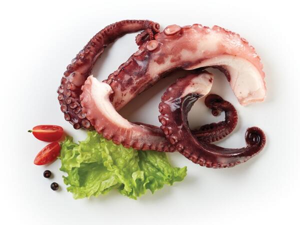 Octopus Tentacles