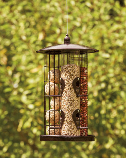 3 In 1 Bird Feeder
