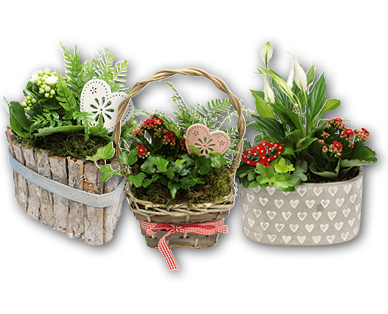 Composition florale pour la Saint-Valentin