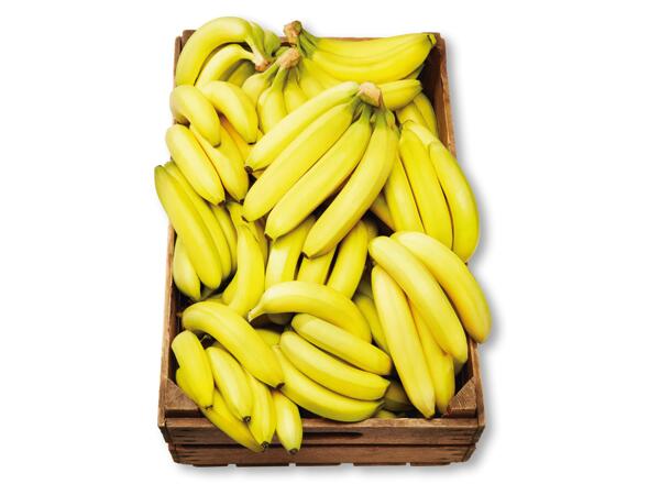 Bananer