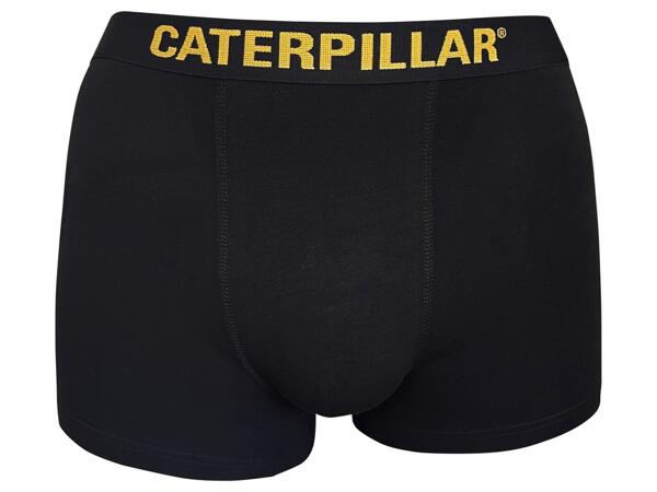 CAT BOXERKY - 2 KUSY