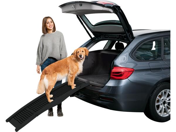Dog Ramp