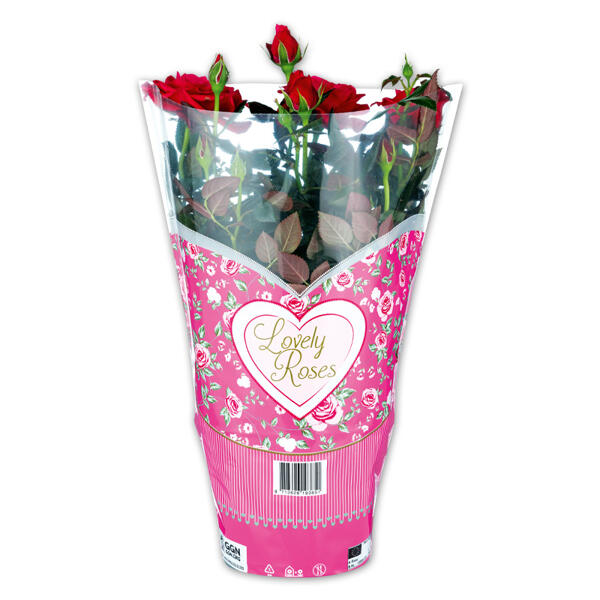 Topfrose