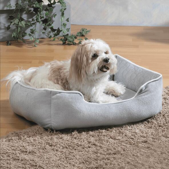 Mand voor huisdieren