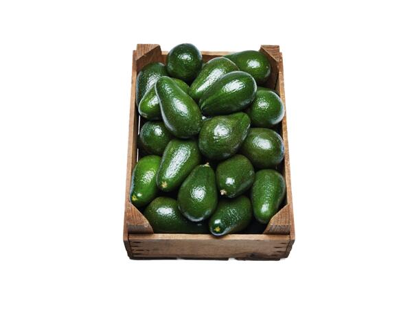 Avokado