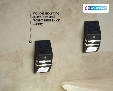 Solar Step Light