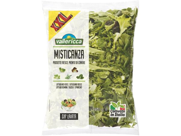 Mixed Salad XXL