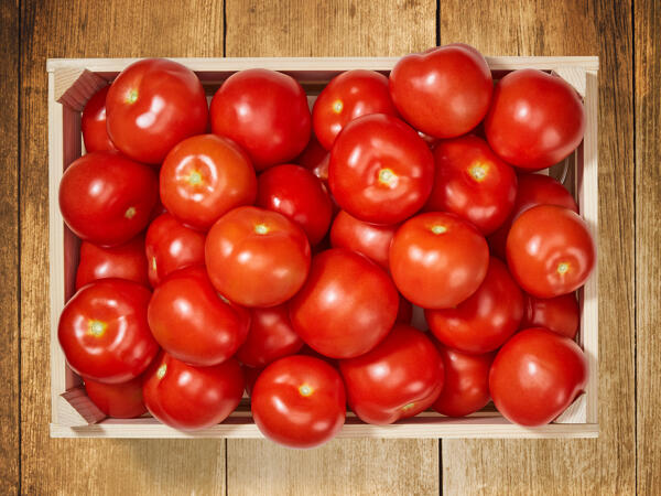 Tomates
