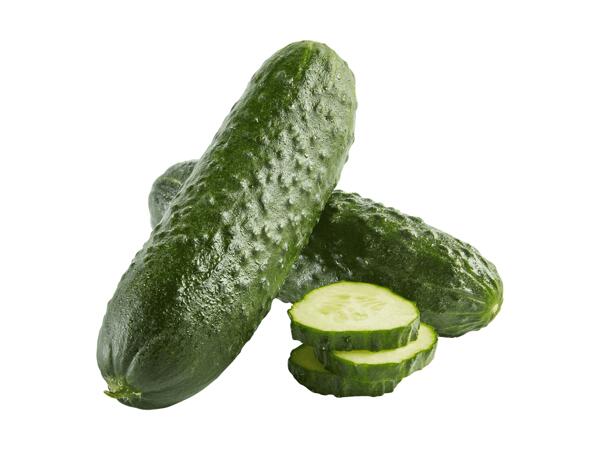 Feldgurke