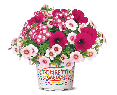 Confetti Flower Pot