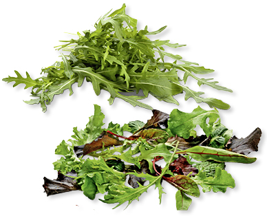 Rucola/Insalata mista