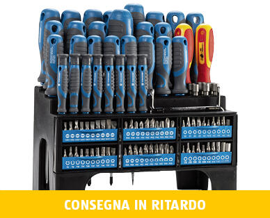 WORKZONE(R)
SET XXL DI CACCIAVITI E BIT, 100 PEZZI