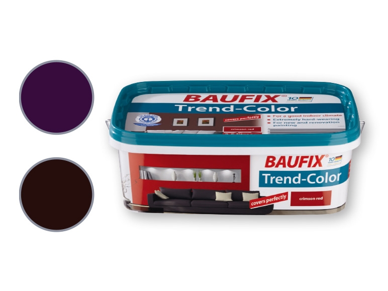 Baufix(R) Trend-Colour Paint 2.5L