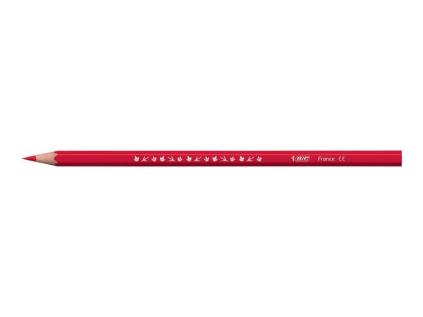 BIC Stationery Assortment
