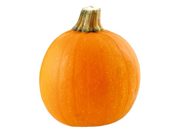 Small Pumpkin