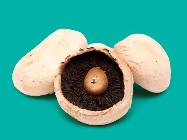 Large Flat Mushrooms