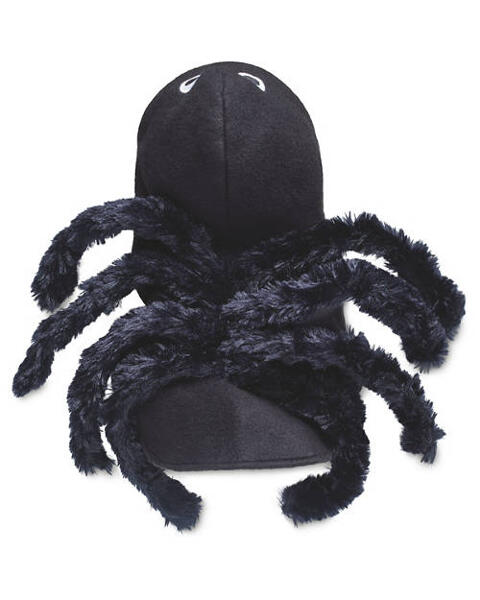 Halloween Pet Costume